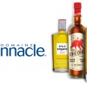 Domaine Pinnacle remporte le prix Distillerie Canadienne de l’année !